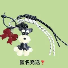送料無料❣️じゃらじゃらキーホルダー　リボン　シュナウザー　黒　白　赤　犬　ハート