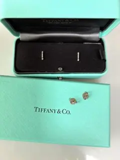 Tiffany フルールドリス ステム ピアス pt950のサムネイル