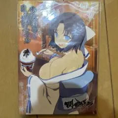 (現品限り)(非売品)(未開封)閃乱カグラ　少女達のまる裸ファイルドラマCD付き