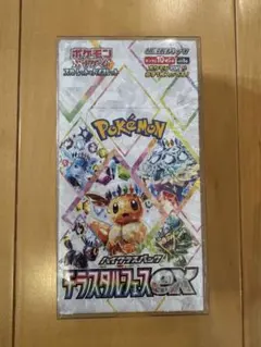 2026年最新】BOX テラスタルフェスの人気アイテム - メルカリ