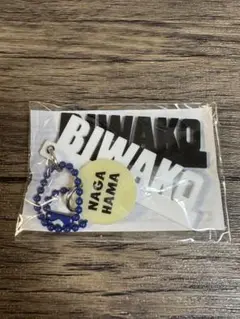 新品琵琶湖・デザインアクリルキーホルダー