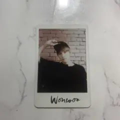 セブチ　ウォヌ　トレカ