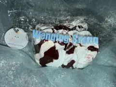 文清 文清很壮 wenqing 海外スクイーズ クリーム巻き チョコミント