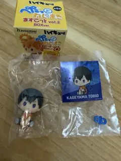 ハイキュー‼︎ ぺたっとねじまきますこっとver.2 影山