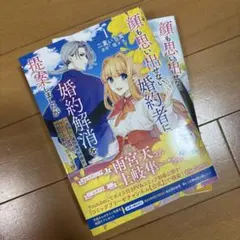顔も思い出せない婚約者に、婚約解消を提案しましたが ～一見冷たい美形魔術師様が…