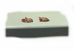 アガット　フープピアス