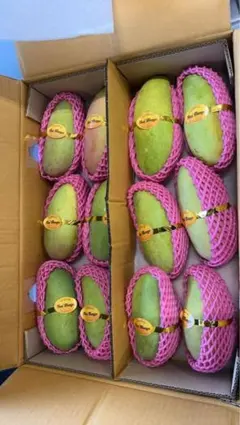 送料無料】タイ産青マンゴー5kg 泰国緑甘い芒果 - メルカリ