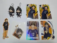 ハイキュー!! 山口忠 15点セット