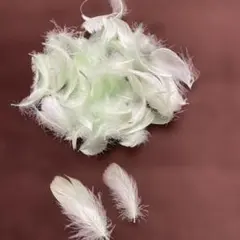 Item thumbnail for item 10282902-d2c7-4489-bdc6-133115b2bc51