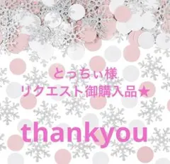 とっちぃ様 リクエスト 2点 まとめ商品