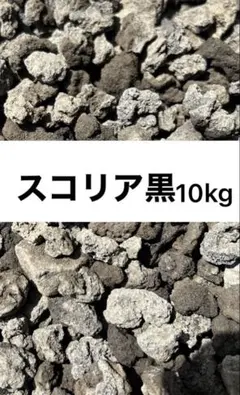 2026年最新】みかも石の人気アイテム - メルカリ