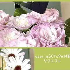 user_a50fc9e1様 リクエスト 2点 まとめ商品