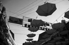 Item thumbnail for item fe4ab231-020c-46ab-9eca-d6ca9fd557ef