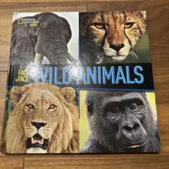 Face to Face Wild Animals