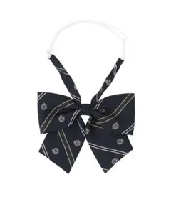 リボン制服　通学 スクール JK