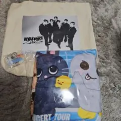 未使用 RIIZE 東京ドーム　アプグレ　プレミアム特典　グッズ