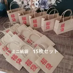 あけぺろ様 リクエスト 3点 まとめ商品