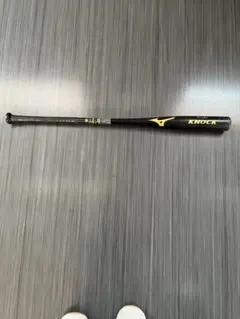 Item thumbnail for item 694a7166-1c27-4cff-9ab3-f2754c959a4e