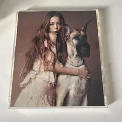 安室奈美恵 邦楽