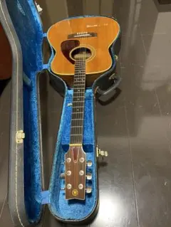 2026年最新】yamaha fg ハカランダの人気アイテム - メルカリ