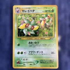 キレイハナ ☆ 拡張パック第1弾 金、銀、新世界へ… - メルカリ