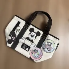 ミッキーマウス ディズニーランド　バッグ