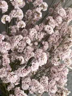 kaman様 リクエスト 5点 まとめ商品