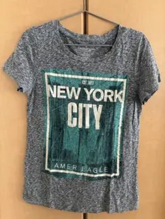 AMERICAN EAGLE OUTFITTERS グレー Tシャツ Mのサムネイル