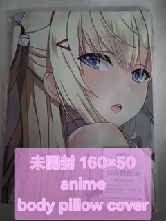 ⏹️美少女抱き枕カバー 未開封
