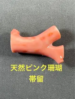 珊瑚　帯留　サンゴ　さんご　コーラル　和装小物　Ｏー20