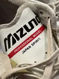 24.5㎝モレリアネオ4Mizuno Morelia Neo4