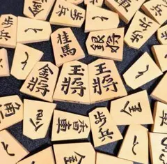 将棋の駒 天童 玉刀作 黄楊 錦旗書 手彫り 予備歩1 桐箱付き - メルカリ