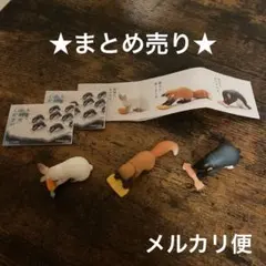 パンダの穴 ガチャ もっとお納めください うさぎ きつね ペンギン リーフレット