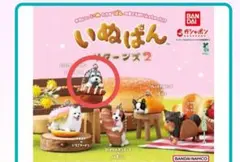 ★いぬぱんリターンズ2（ミニチュアシュナウザー3つセット）★