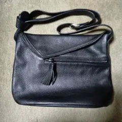 Item thumbnail for item 9c880761-0da8-46a7-aff7-82bf056a8450