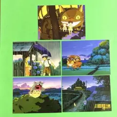 スタジオジブリ　となりのトトロ　大判ポストカード　 ５枚セット　Ｄ