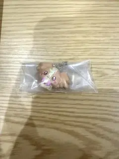 ぷちきゅあ めじるしアクセサリー こむぎ