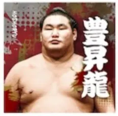 まいめろりん様専用