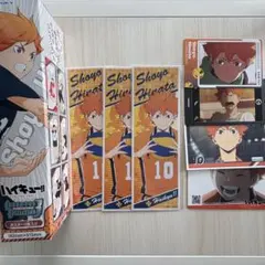 【ハイキュー!!】日向翔陽 カードステッカーポスターセット