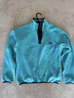 Patagonia Synchilla Snap-T