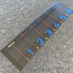 Item thumbnail for item 489a657b-6108-4e47-a869-39630814901f