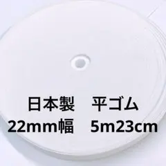 Item thumbnail for item a579bdea-d10b-404c-8077-9d34f8f690e2