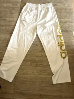 Item thumbnail for item 6504135f-15d4-43a0-8159-1f7cf65d6914