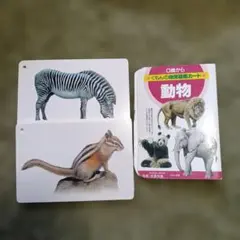 くもんの幼児図鑑カード 動物 知育玩具 絵カード フラッシュカード 動物カードのサムネイル