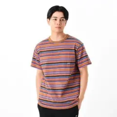 VANS ボーダー　tシャツ　半袖　マルチカラー　ピンク　スケーター　ブルー