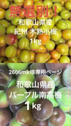 2606mk様専用ページ パープル南高梅1kgのサムネイル