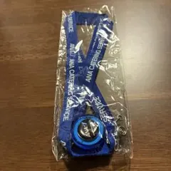 2026年最新】ana ネックストラップの人気アイテム - メルカリ