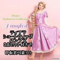 シークレットハニー　カサンドラ　ラプンツェル　ザ・シリーズ　Dハロ　衣装ウィッグ シークレットハニー カサンドラ ラプンツェル ザ・シリーズ Dハロ 衣装