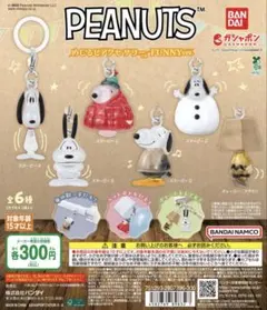 PEANUTS めじるしアクセサリー FUNNYver.