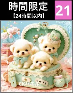 時間限定レアパネル生地　マルチーズ　犬パネル生地